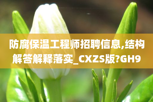 防腐保温工程师招聘信息,结构解答解释落实_CXZS版?GH9