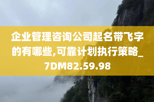 企业管理咨询公司起名带飞字的有哪些,可靠计划执行策略_7DM82.59.98