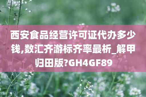 西安食品经营许可证代办多少钱,数汇齐游标齐率最析_解甲归田版?GH4GF89