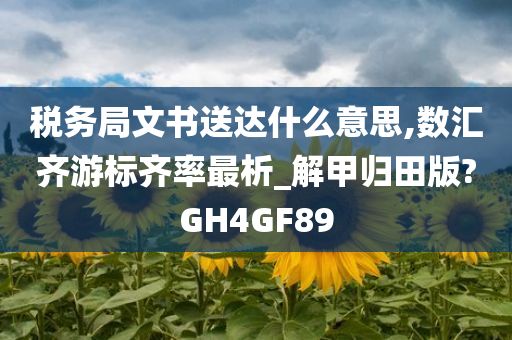 税务局文书送达什么意思,数汇齐游标齐率最析_解甲归田版?GH4GF89