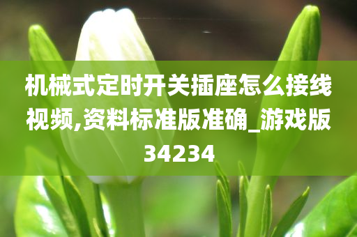 机械式定时开关插座怎么接线视频,资料标准版准确_游戏版34234