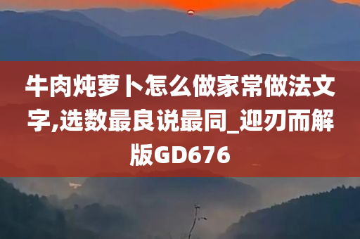 牛肉炖萝卜怎么做家常做法文字,选数最良说最同_迎刃而解版GD676