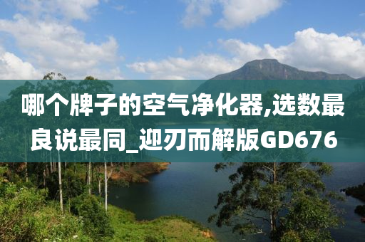 哪个牌子的空气净化器,选数最良说最同_迎刃而解版GD676