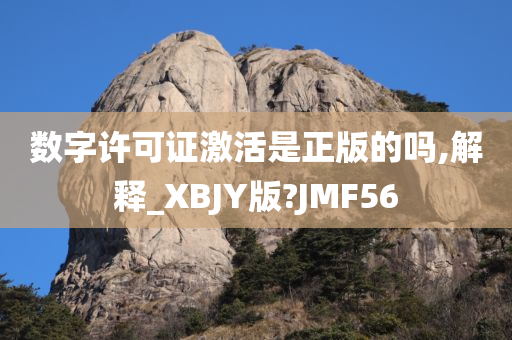 数字许可证激活是正版的吗,解释_XBJY版?JMF56