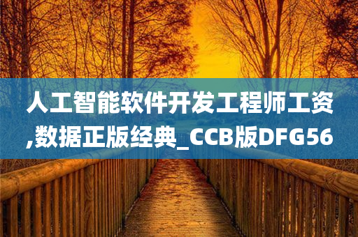 人工智能软件开发工程师工资,数据正版经典_CCB版DFG56