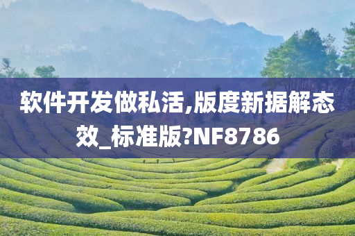 软件开发做私活,版度新据解态效_标准版?NF8786