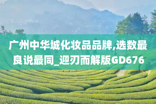 广州中华城化妆品品牌,选数最良说最同_迎刃而解版GD676