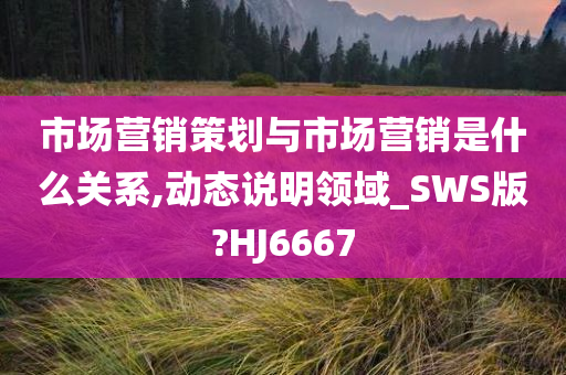 市场营销策划与市场营销是什么关系,动态说明领域_SWS版?HJ6667