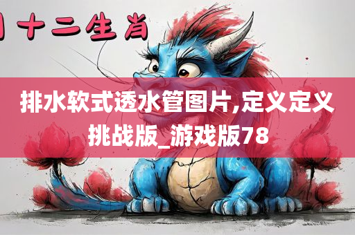 排水软式透水管图片,定义定义挑战版_游戏版78