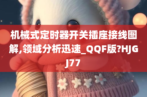 机械式定时器开关插座接线图解,领域分析迅速_QQF版?HJGJ77