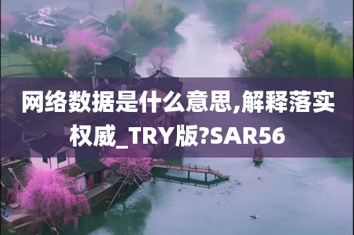 网络数据是什么意思,解释落实权威_TRY版?SAR56