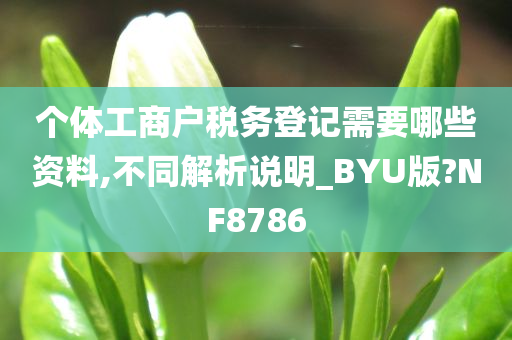 个体工商户税务登记需要哪些资料,不同解析说明_BYU版?NF8786