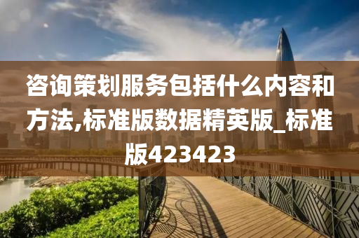 咨询策划服务包括什么内容和方法,标准版数据精英版_标准版423423