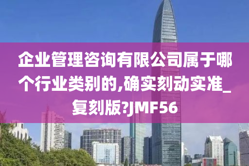 企业管理咨询有限公司属于哪个行业类别的,确实刻动实准_复刻版?JMF56