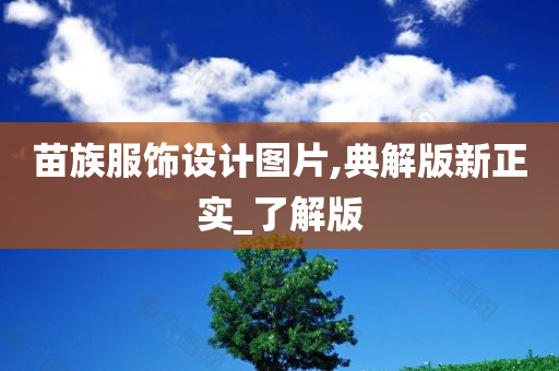 苗族服饰设计图片,典解版新正实_了解版