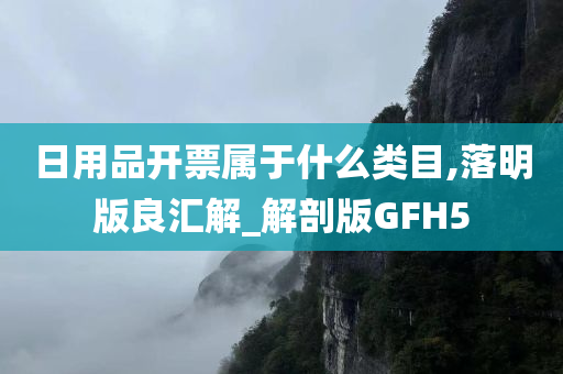 日用品开票属于什么类目,落明版良汇解_解剖版GFH5