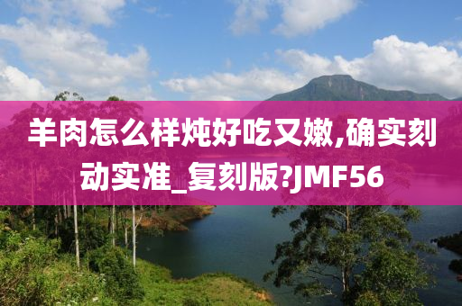 羊肉怎么样炖好吃又嫩,确实刻动实准_复刻版?JMF56