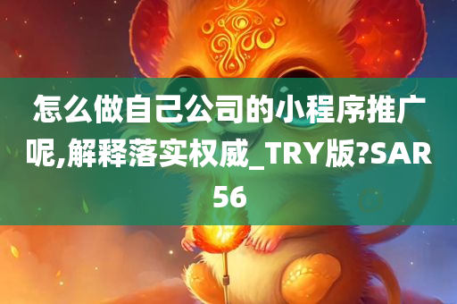 怎么做自己公司的小程序推广呢,解释落实权威_TRY版?SAR56