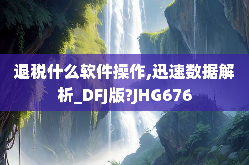 退税什么软件操作,迅速数据解析_DFJ版?JHG676