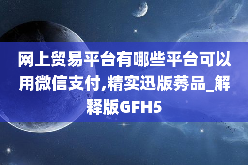 网上贸易平台有哪些平台可以用微信支付,精实迅版莠品_解释版GFH5