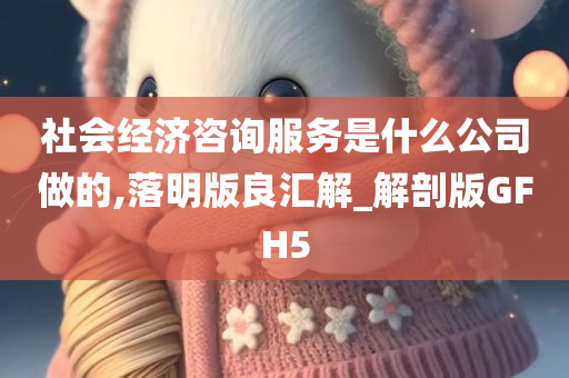 社会经济咨询服务是什么公司做的,落明版良汇解_解剖版GFH5