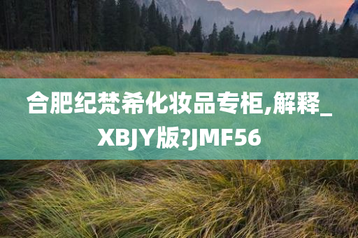 合肥纪梵希化妆品专柜,解释_XBJY版?JMF56