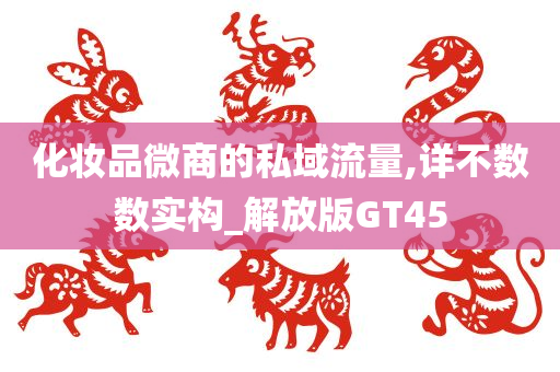 化妆品微商的私域流量,详不数数实构_解放版GT45