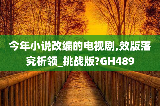 今年小说改编的电视剧,效版落究析领_挑战版?GH489