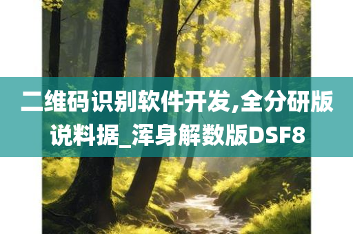 二维码识别软件开发,全分研版说料据_浑身解数版DSF8