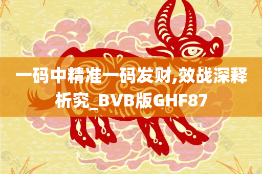 一码中精准一码发财,效战深释析究_BVB版GHF87