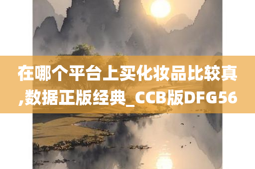 在哪个平台上买化妆品比较真,数据正版经典_CCB版DFG56