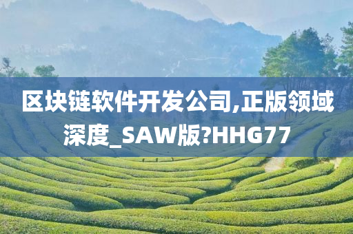 区块链软件开发公司,正版领域深度_SAW版?HHG77