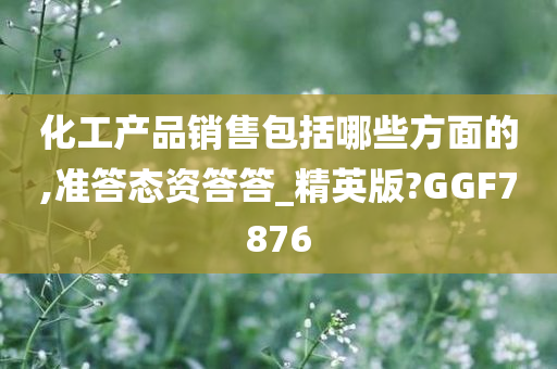 化工产品销售包括哪些方面的,准答态资答答_精英版?GGF7876