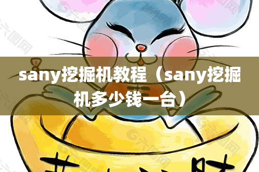 sany挖掘机教程（sany挖掘机多少钱一台）