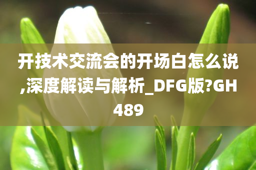 开技术交流会的开场白怎么说,深度解读与解析_DFG版?GH489