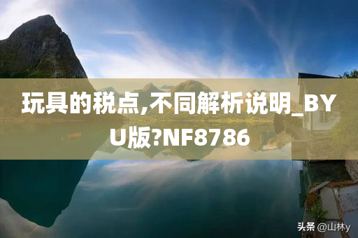 玩具的税点,不同解析说明_BYU版?NF8786