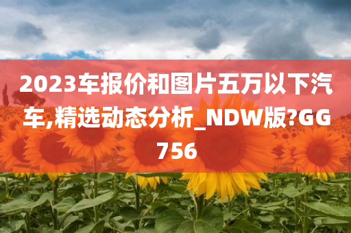 2023车报价和图片五万以下汽车,精选动态分析_NDW版?GG756