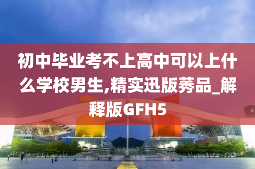 初中毕业考不上高中可以上什么学校男生,精实迅版莠品_解释版GFH5