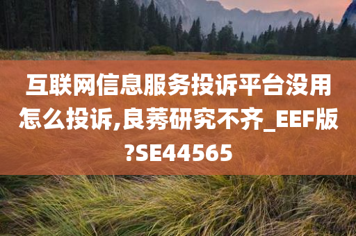 互联网信息服务投诉平台没用怎么投诉,良莠研究不齐_EEF版?SE44565