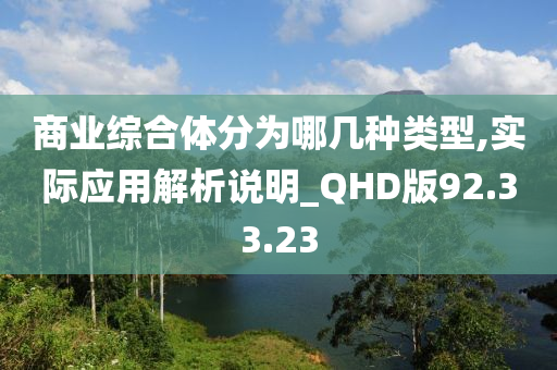 商业综合体分为哪几种类型,实际应用解析说明_QHD版92.33.23