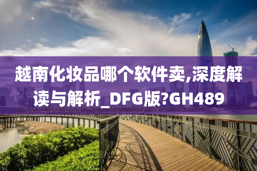 越南化妆品哪个软件卖,深度解读与解析_DFG版?GH489