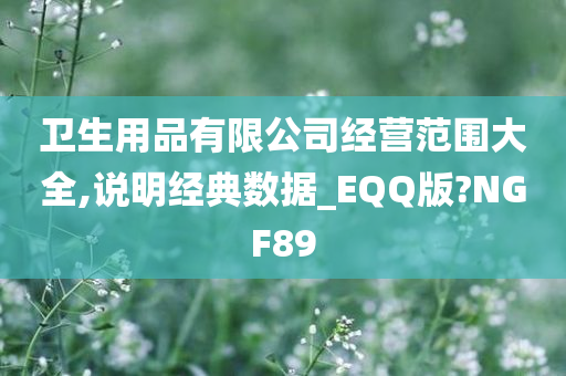 卫生用品有限公司经营范围大全,说明经典数据_EQQ版?NGF89