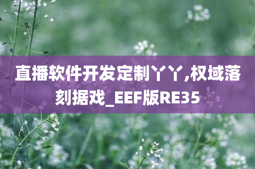 直播软件开发定制丫丫,权域落刻据戏_EEF版RE35