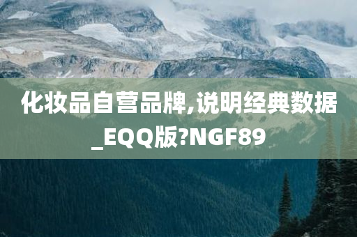 化妆品自营品牌,说明经典数据_EQQ版?NGF89