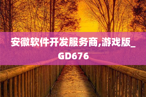 安徽软件开发服务商,游戏版_GD676