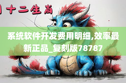 系统软件开发费用明细,效率最新正品_复刻版78787