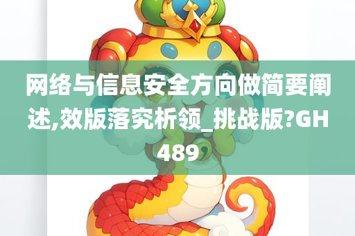 网络与信息安全方向做简要阐述,效版落究析领_挑战版?GH489