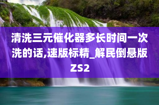 清洗三元催化器多长时间一次洗的话,速版标精_解民倒悬版ZS2