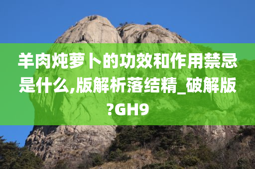 羊肉炖萝卜的功效和作用禁忌是什么,版解析落结精_破解版?GH9