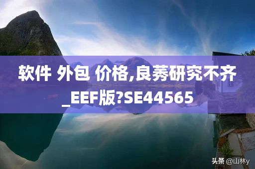 软件 外包 价格,良莠研究不齐_EEF版?SE44565